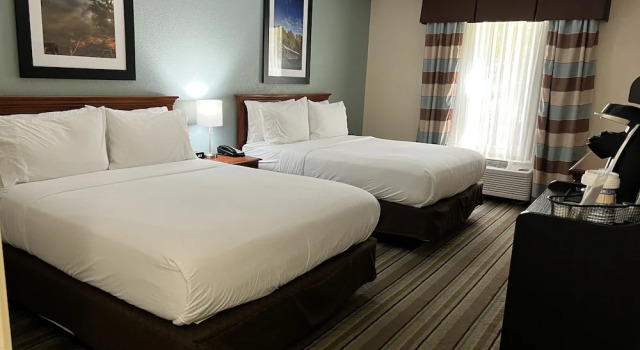 Номер Economy White Pine Lodge
