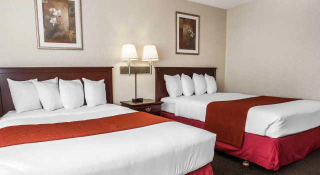 Четырёхместный номер Standard Quality Inn Olympia