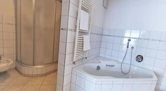 Апартаменты Superior Appartementhaus Regina am Schluchsee