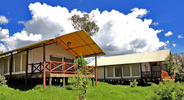 Одноместный номер Deluxe Ashnil Mara Camp