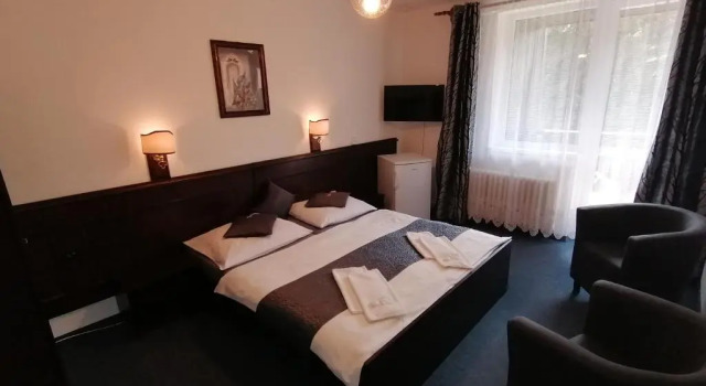 Номер Standard Hotel Pavla Vysočina