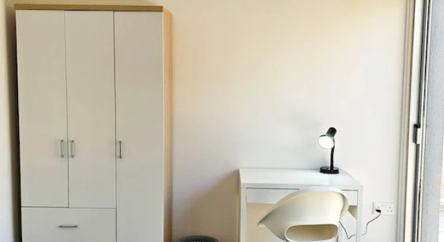 The Lemon Tree Hostel