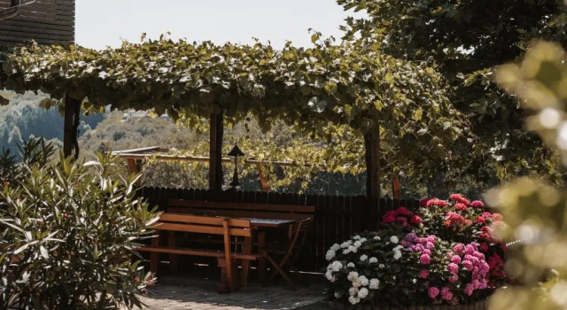 Weingut Assigal