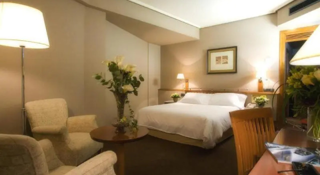 Трёхместный номер Standard Hotel Palafox