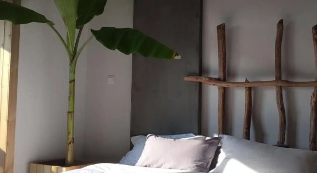 Jing Pu Plant Theme Hostel