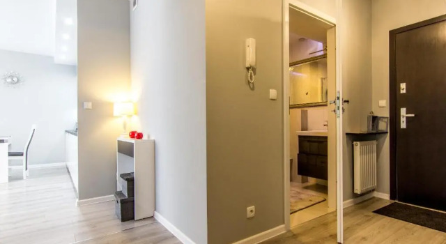 Апартаменты c 1 комнатой Apartamenty Granitica Zakopane