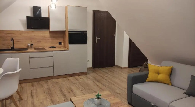 Апартаменты с видом на горы Apartamenty Olimpijskie Szczyrk