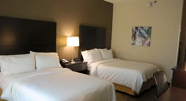 Run of House Holiday Inn Express Fredericksburg - Southpoint by IHG