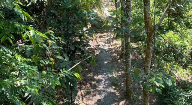 Gibbon Retreat Bentong, Prenota Hotel Bentong Pahang
