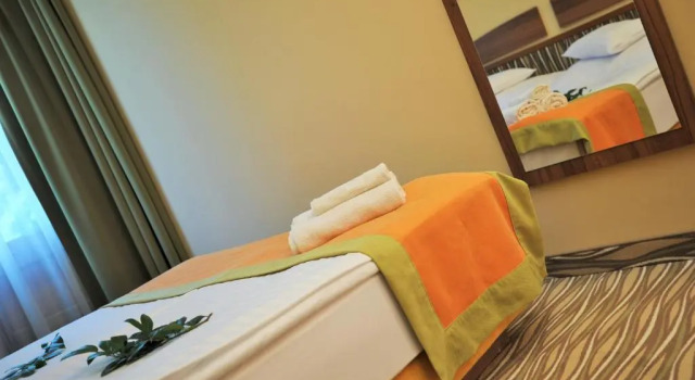Двухместный номер Standard Park Hotel Gyula