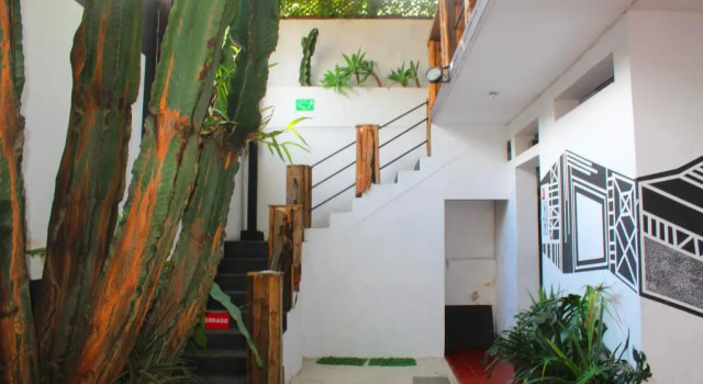 Volko Party  Hostal