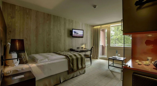 Одноместный номер Standard с балконом Grischa - Das Hotel Davos