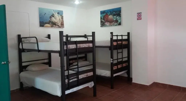 Loft 10 Hostel, Забронировать Хостел Плая-дель-Кармен Кинтана-Роо, рядом с Пляжный клуб Mamitas