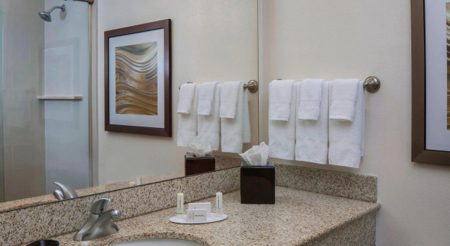 Двухместный номер Standard Courtyard by Marriott New Orleans Downtown Near the French Quarter