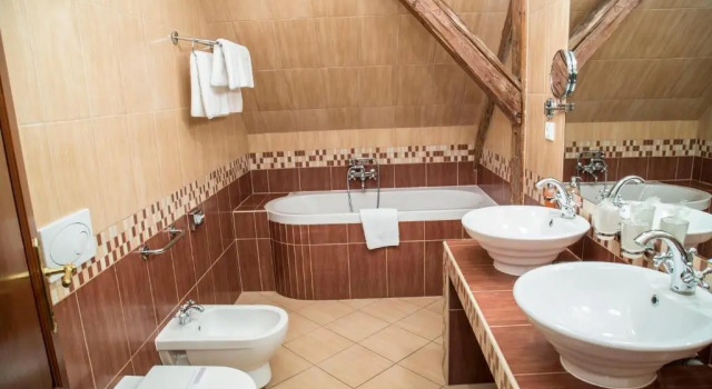 Двухместный номер Standard Отель Chateau Zbiroh