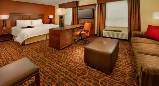 Студия Hampton Inn & Suites Selma-San Antonio/Randolph AFB