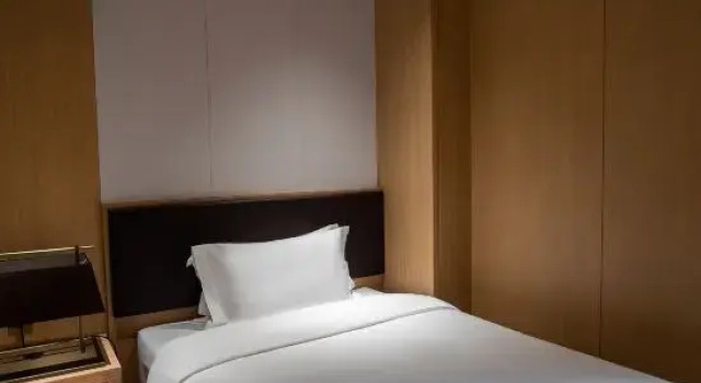 Люкс Xianyang Baode Haiyu Hotel