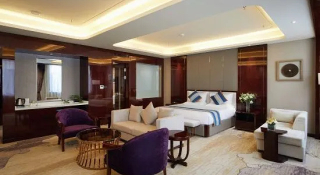 Люкс Executive Zhen Jun Hotel