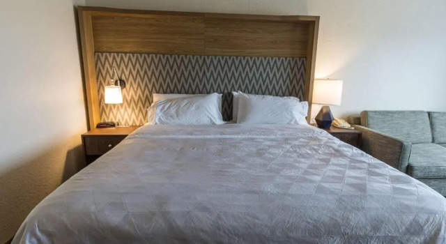 Номер Standard Wyndham Flint MI Grand Blanc Bishop Airport Conference Ct