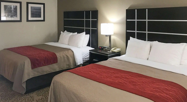 Четырёхместный номер Standard Comfort Inn North of Asheville