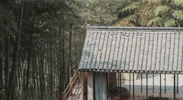 Люкс VISAYA Yijing Guesthouse