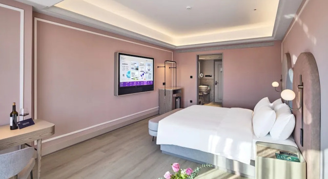 Двухместный номер Standard Mercure Yiwu International Trade City