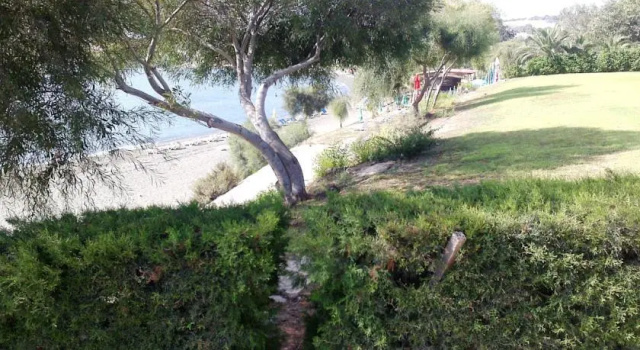 Villa Melissa, Rezervovat Vila Psematismenos Larnaca