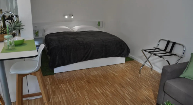 Студия Deluxe Studio Apartments City&style