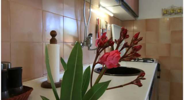 Apartment Tamara Pine Trees & Beach, Забронировать Апартаменты/квартира Примоштен Шибеник