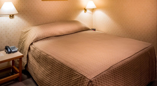 Двухместный номер Standard European Hotel