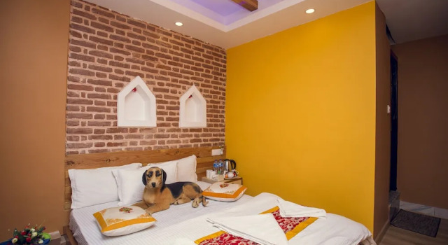 Номер Deluxe Blue Mountain Home Stay