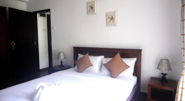 Homewood Luxury Apartment