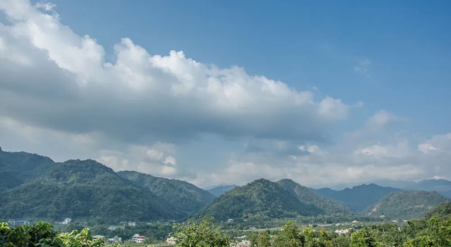 Номер Standard Baishengcun Coffee Farm
