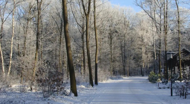 52 Horalaan, Rezerwuj Hotel Hotele w Veluwe z parkingiem, Parking