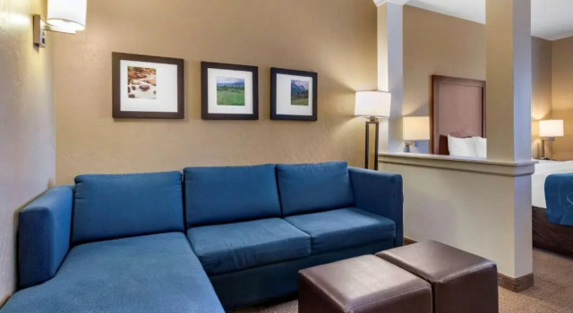 Люкс Comfort Suites Airport-University