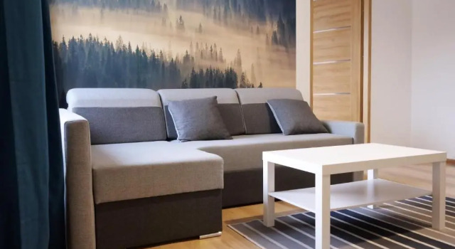 Апартаменты c 1 комнатой Apartamenty Kościuszki