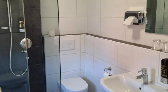 Одноместный номер Standard Hotel-Gasthof Rangau