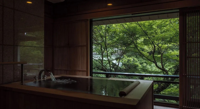Люкс Yamanakaonsen Hanamurasaki