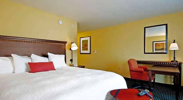 Люкс Standard Hampton Inn & Suites Seal Beach