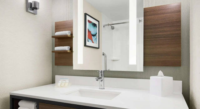 Двухместный номер Standard Hilton Garden Inn Las Vegas/Henderson