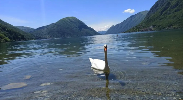 Апартаменты Bungalow SEAESTA Lago Di Lugano