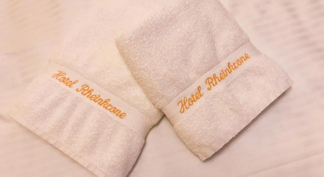 Трёхместный номер Standard Panorama Hotel Rheinkrone