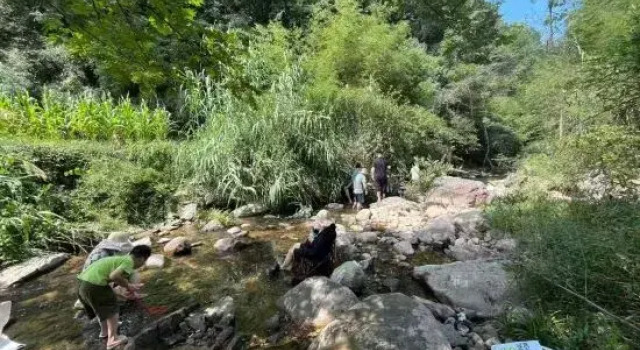 Tea  · Xingzhi Mountain Resort Homestay