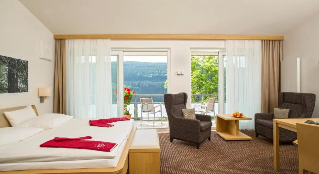Двухместный номер Deluxe BRUGGERS Hotelpark am See