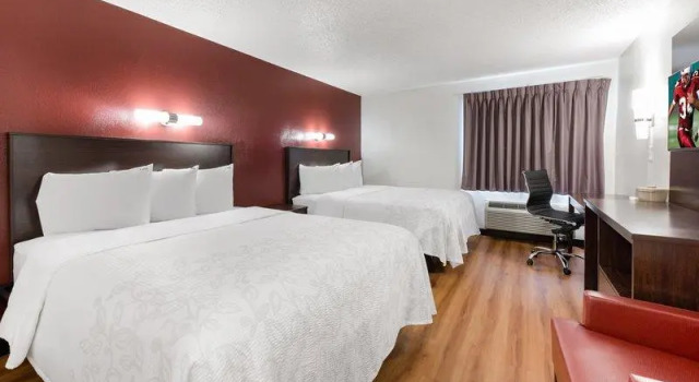 Кровать в общем номере Red Roof Inn PLUS+ Columbus - Worthington