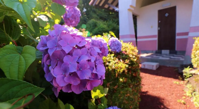 Коттедж Izukogen Onsen Yuyu "Yuyu" Villa - Vacation STAY 45791v
