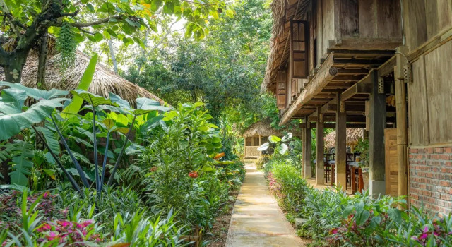 Puluong Home