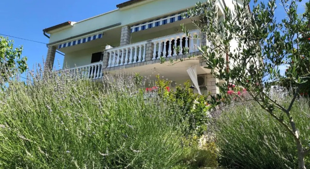 Studio Apartments Muntidor