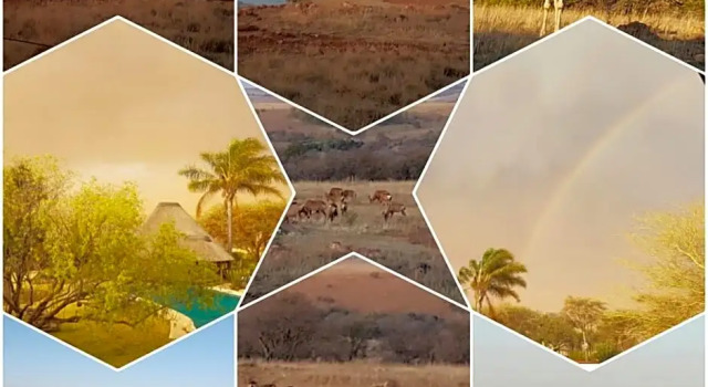 Rocky Aloe Lodge, Buchen Sie Hotel Krugersdorp West Rand