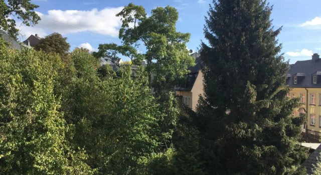 Люкс Hotel Alt Annaberg